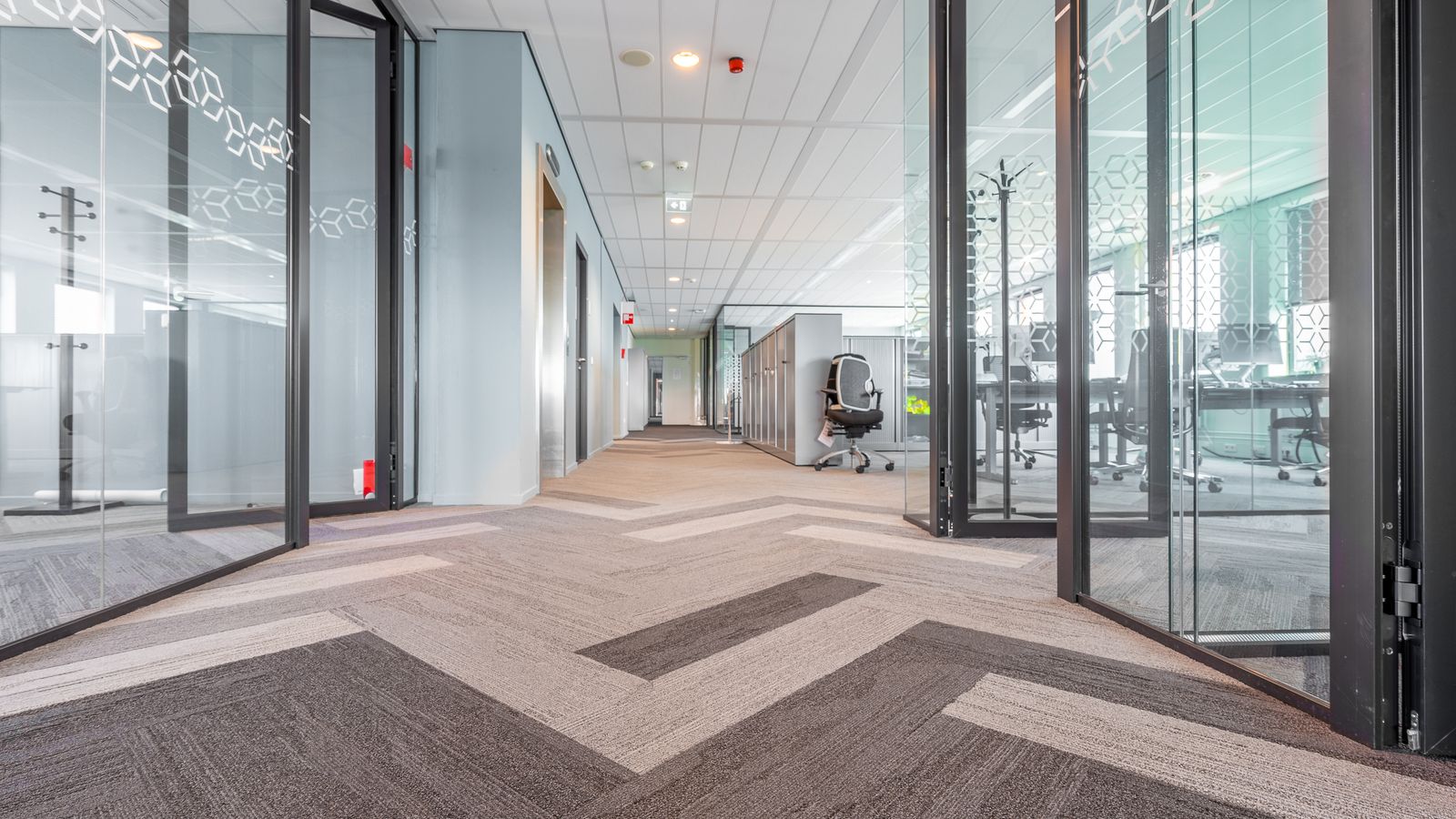 Wide view of a clean carpeted office floor maintained with a regular cleaning routine