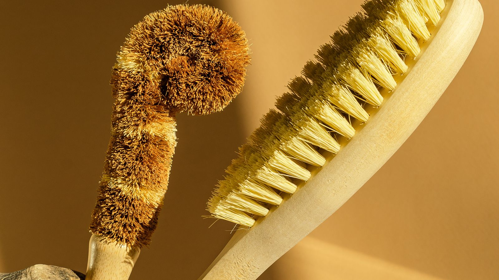 Row of clean carpet cleaning brushes and tools stored upright to dry