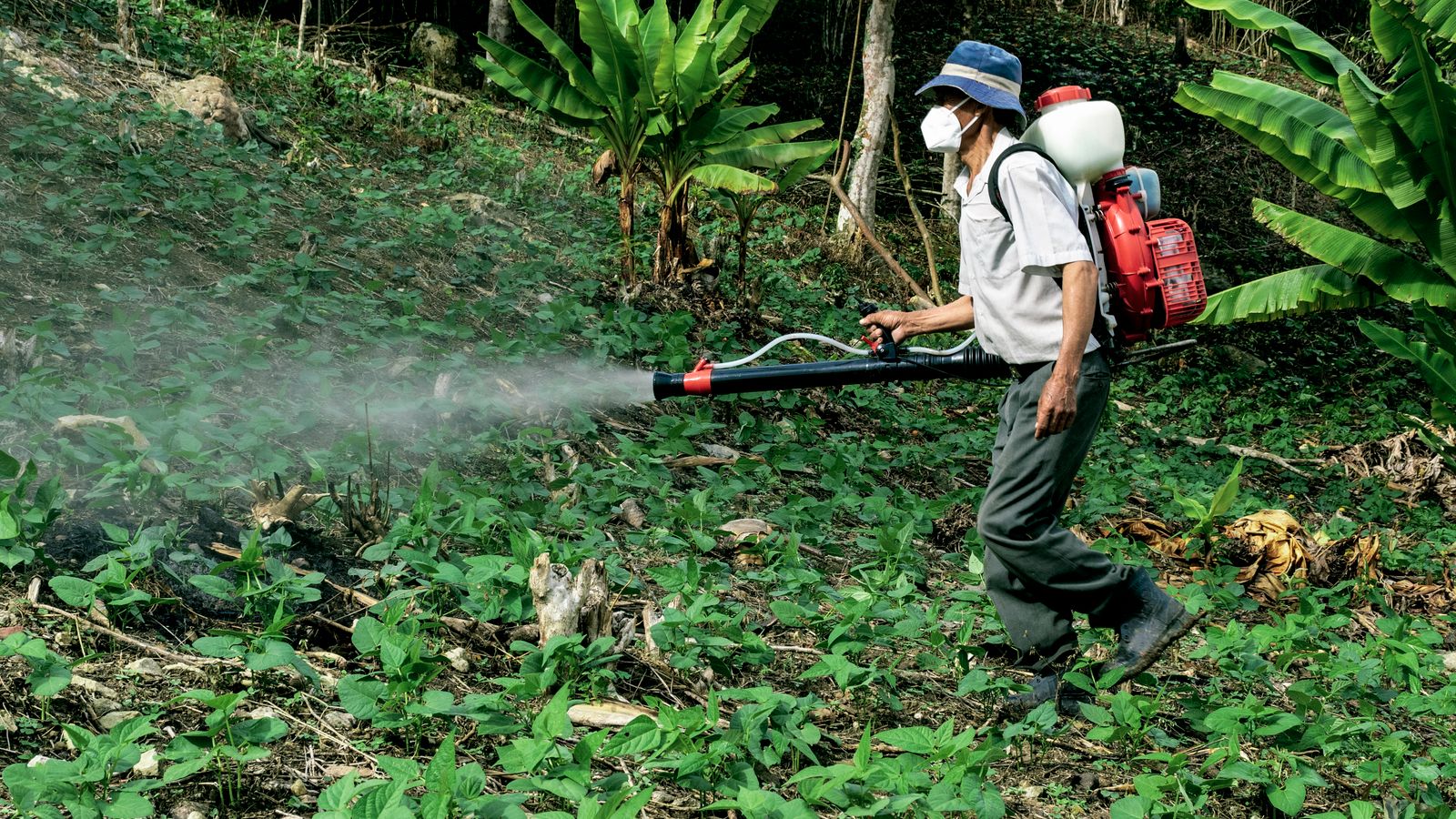 Worker wearing a backpack sprayer tank while spraying a cleaning solution outdoors