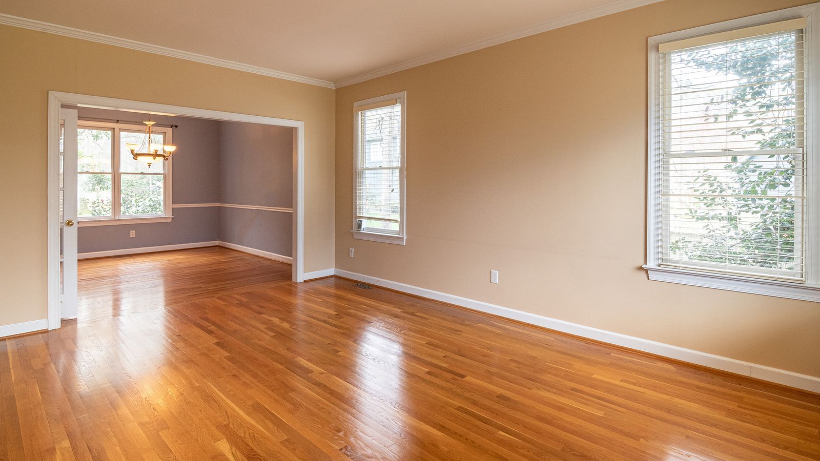 Living room with an area rug on hardwood flooring showing clean, flat edges