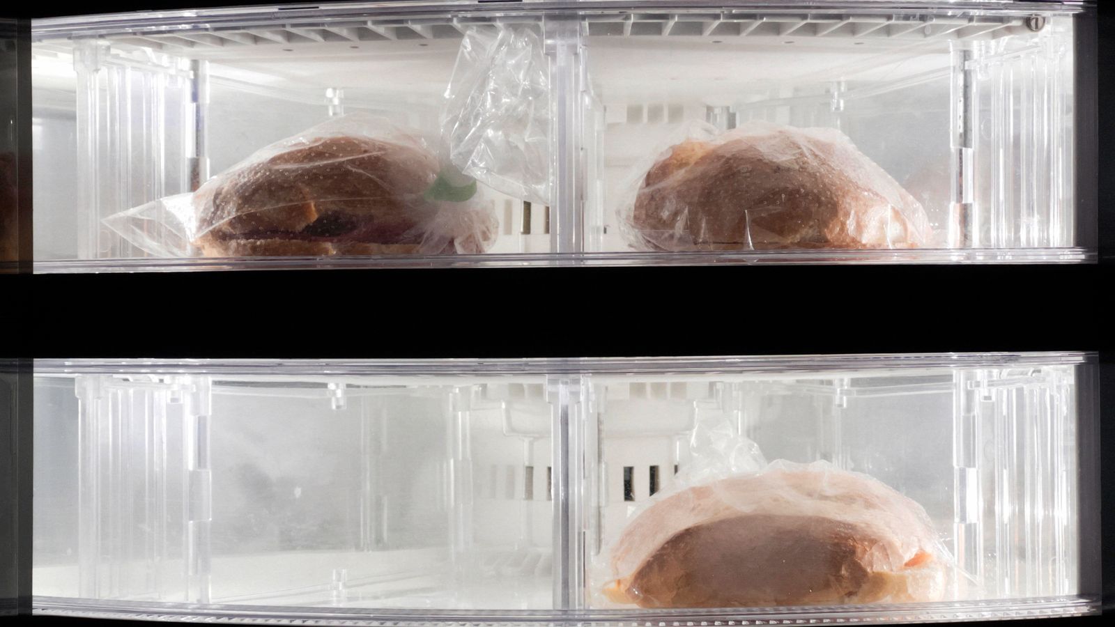 Labeled freezer bags of frozen snacks organized in a freezer for air fryer meals