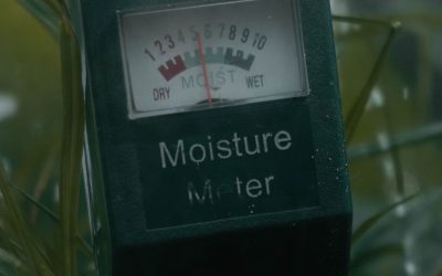 Moisture Detection Meter vs Spray Bottles for Cleaning: How to Choose the Right One