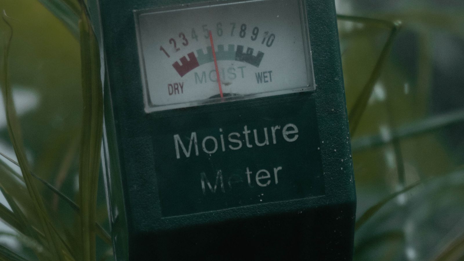 Close-up of a handheld moisture detection meter being used to check dampness in a wall